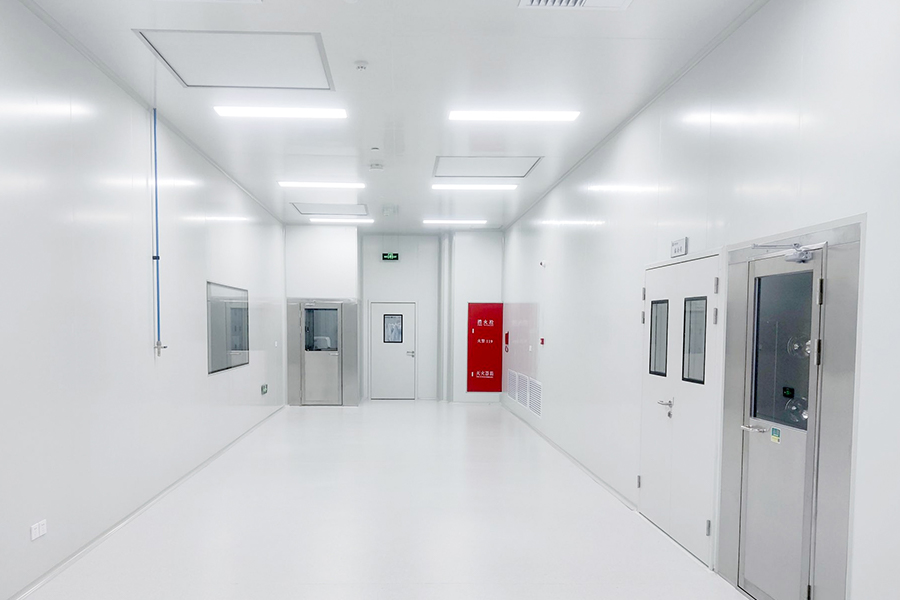 Electronic And Photoelectric Dust-Free Workshop