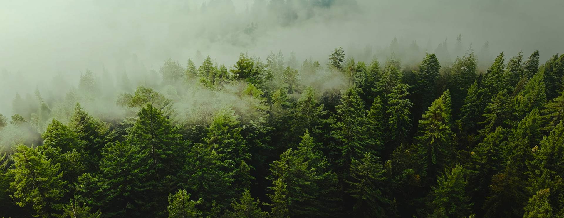 Suzhou Sulong Purification Technology Co., Ltd.